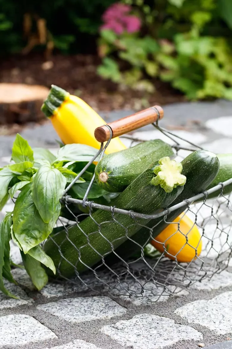 Einfaches Rezept für Pasta mit Zucchini